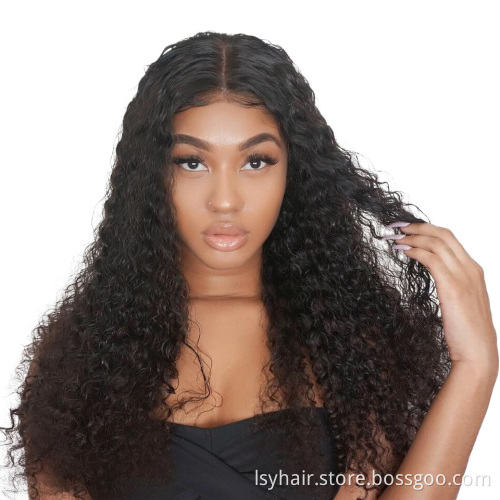 Wholesale Water Wave Lace Front Wig Lace Wigs, Pre Plucked Cuticle Aligned Virgin Hair Lace Front Wig Human Hair 100% Indian